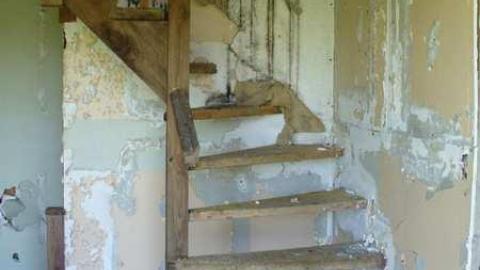 Old Green House cover photo