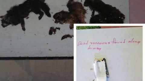 The Story 08/14 - hxLee10.jpg