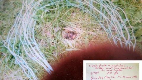 The Story 08/14 - sgLee14.jpg