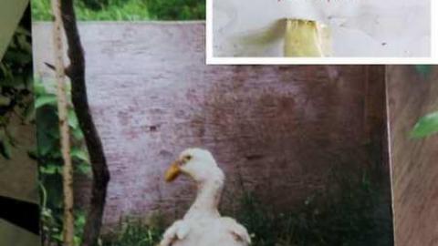 The Story 08/14 - eiLee15.jpg