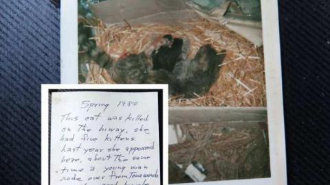 The Story 08/14 - jyLee21.jpg