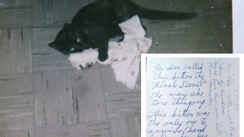 The Story 08/14 - xjLee22.jpg