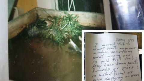 The Story 08/14 - quLee24.jpg