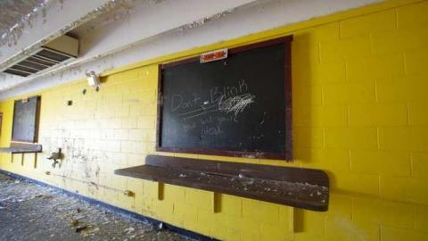 "Police Patrolled" - Mustang-Drivein21.jpg