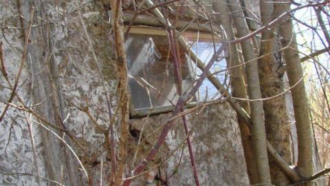 First Visit - Strange-Abandoned-Property3.jpg