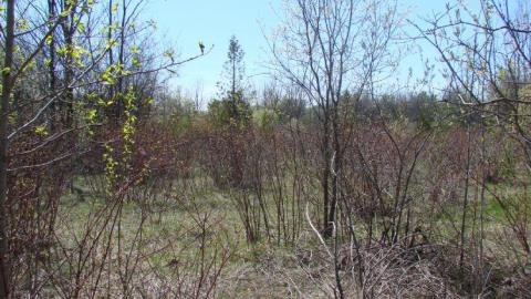 Strange Abandoned Property photo 5