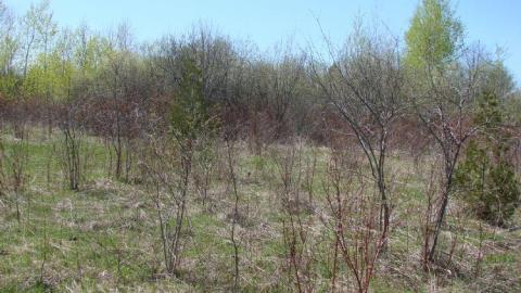 Strange Abandoned Property photo 2