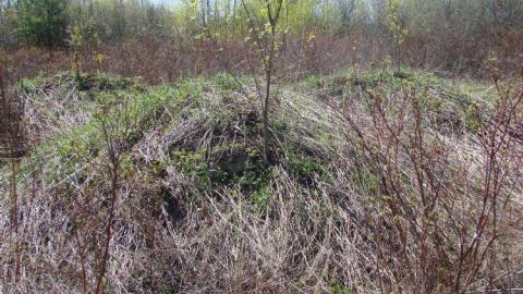 First Visit - Strange-Abandoned-Property12.jpg