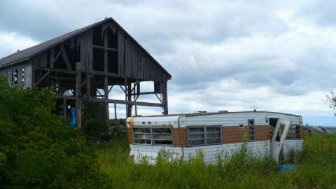 Death and Decay - Colgan-Death-Farm38.jpg