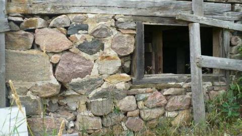 Death and Decay - Colgan-Death-Farm40.jpg