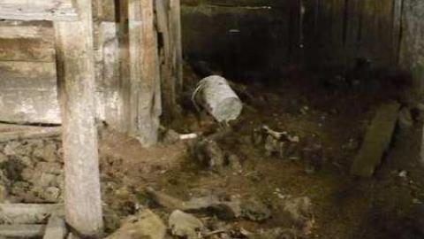 Death and Decay - Colgan-Death-Farm50.jpg