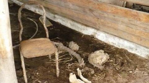 Death and Decay - Colgan-Death-Farm43.jpg