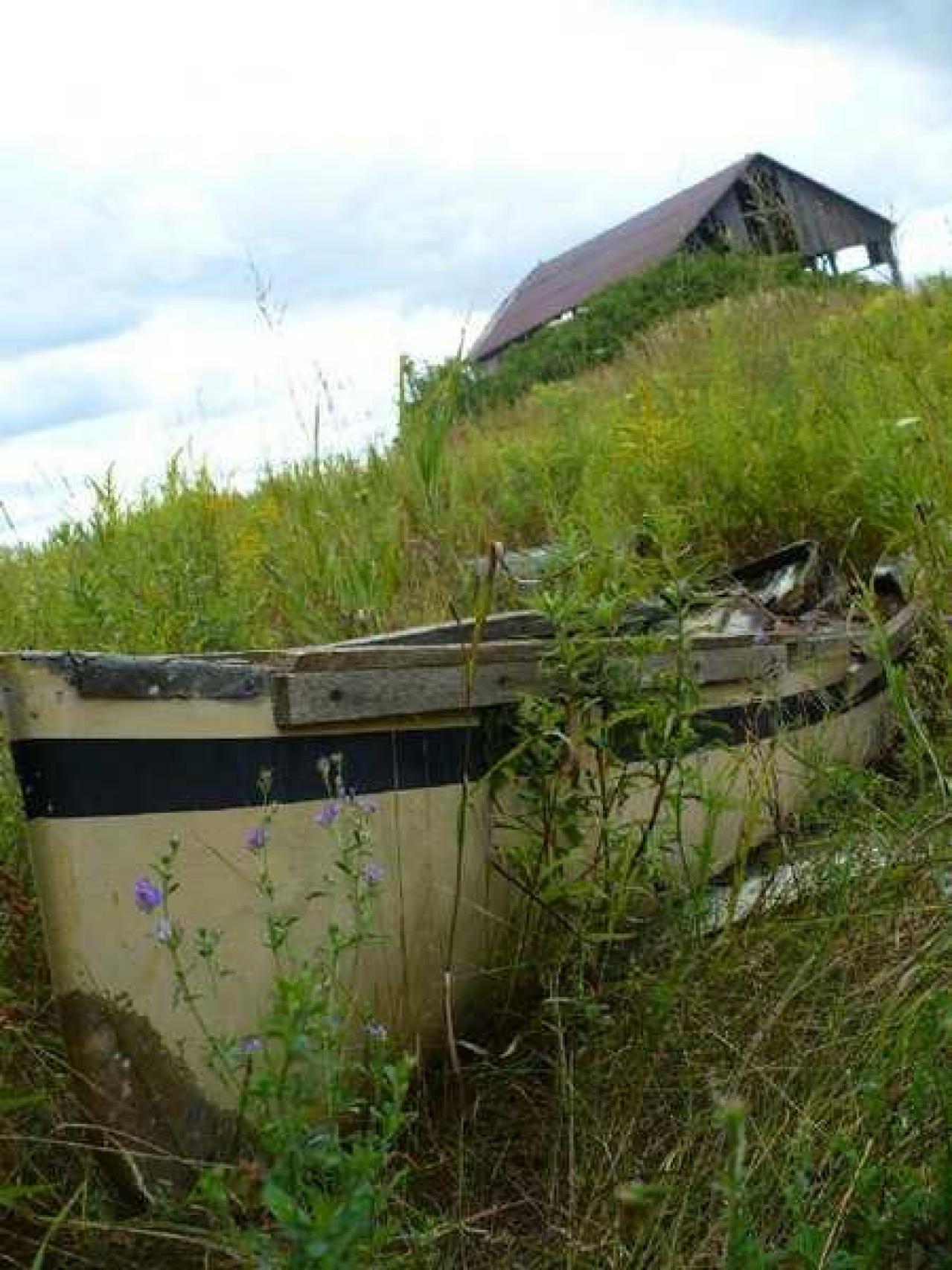 Death and Decay - Colgan-Death-Farm53.jpg