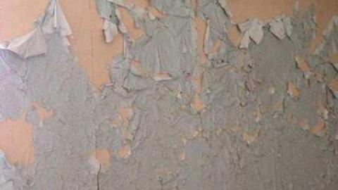 Farm in the Foliage - Pinkerton-Farm142.jpg