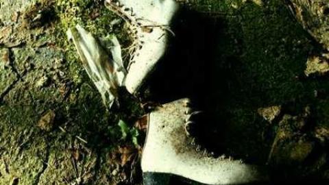 Photo from Farm in the Foliage