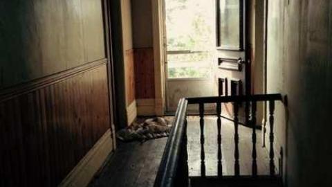 Farm in the Foliage - Pinkerton-Farm145.jpg