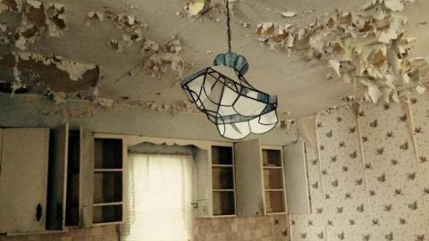 Farm in the Foliage - Pinkerton-Farm147.jpg