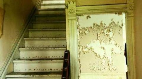 Farm in the Foliage - Pinkerton-Farm148.jpg