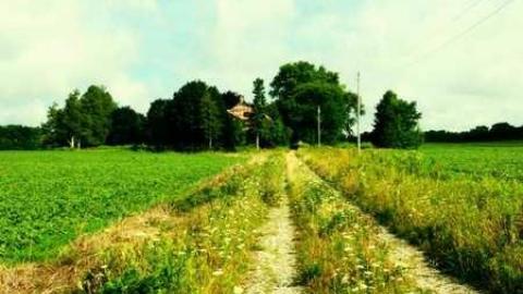 Farm in the Foliage - Pinkerton-Farm151.jpg