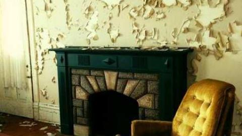 Photo from Farm in the Foliage