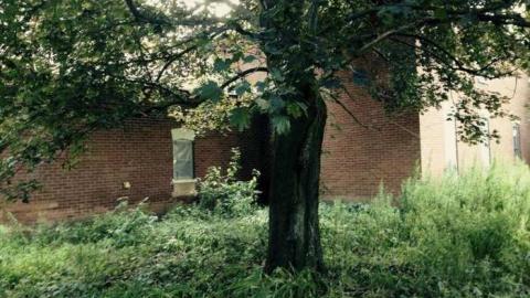 Farm in the Foliage - Pinkerton-Farm153.jpg