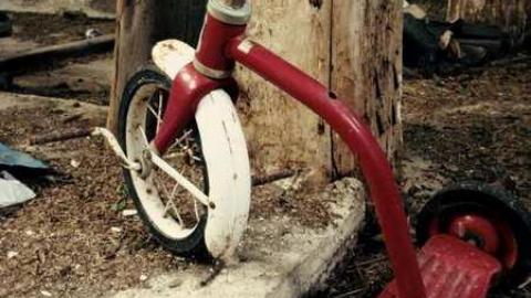 Farm in the Foliage - Pinkerton-Farm158.jpg