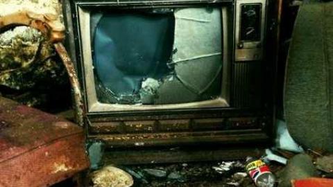 Farm in the Foliage - Pinkerton-Farm154.jpg