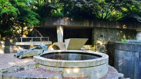 Polar Bear Habitat photo 4