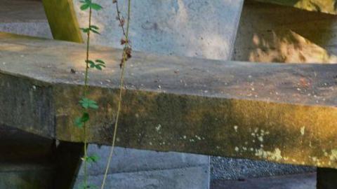 Reclaimed Enclosure - Polar-Bear-Habitat5.jpg