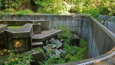 Reclaimed Enclosure - Polar-Bear-Habitat8.jpg