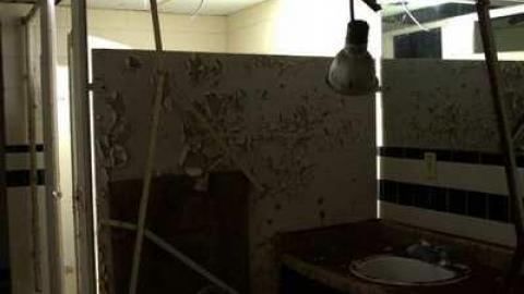 T&C - DSC_5251 (2) -1.jpg