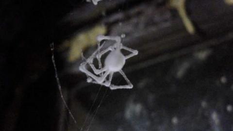 Aug2014 - Top-Is-Where-Its-At30.jpg