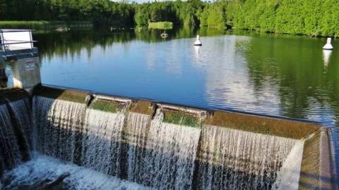 Photo from Summer Luck 2014