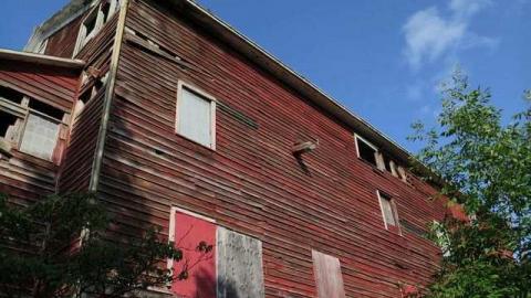 Photo from Summer Luck 2014