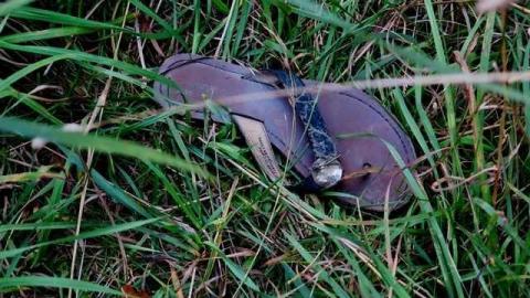 Summer Luck 2014 - Hortop-Mill48.jpg