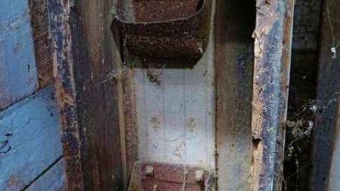 Summer Luck 2014 - Hortop-Mill50.jpg