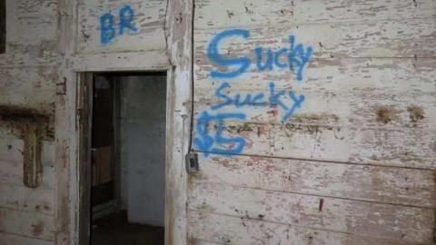 Summer Luck 2014 - Hortop-Mill44.jpg