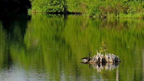 Photo from Summer Luck 2014