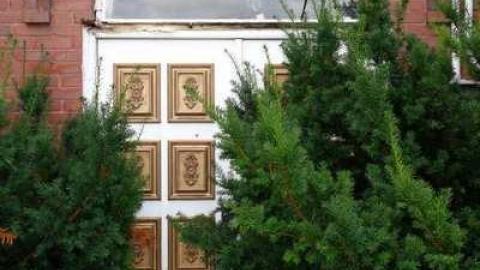 Aug '14 - DSC08757.jpg