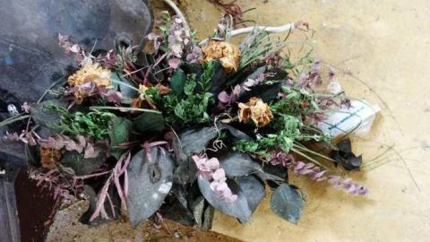 Aug '14 - DSC08762.jpg