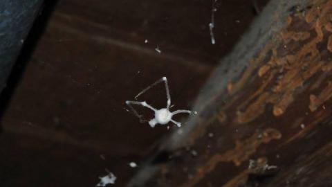 House of Preserves - Cavan Monaghan, Ontario