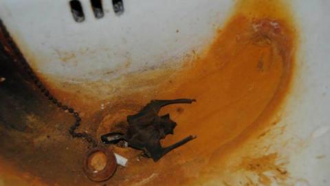 House of Preserves - 10590394_10154526283440228_2451327184383647931_n.jpg