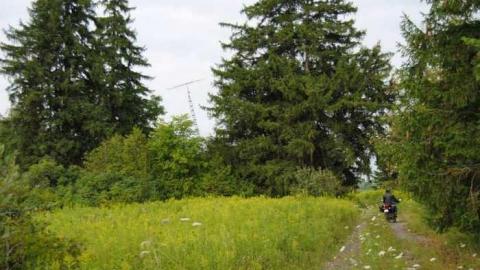 Photo from August 2014