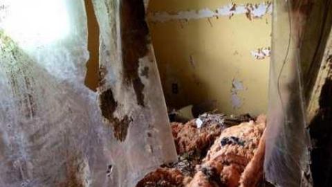 Photo from August 2014