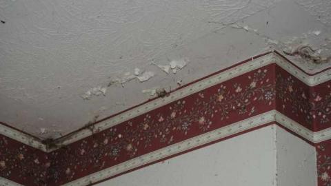 August 2014 - Kawartha-Downs-Speedway-House35.jpg