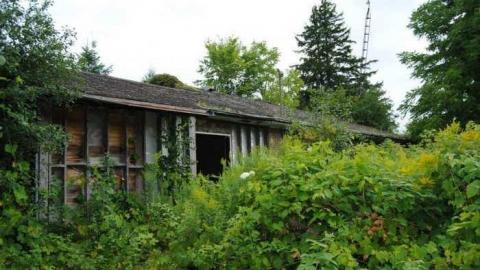 Photo from August 2014