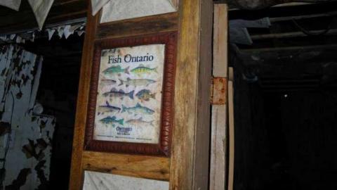 Photo from August 2014