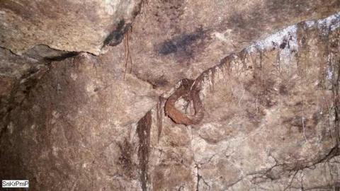 08/20/2014 - Clyde-Forks-Mine10.jpg