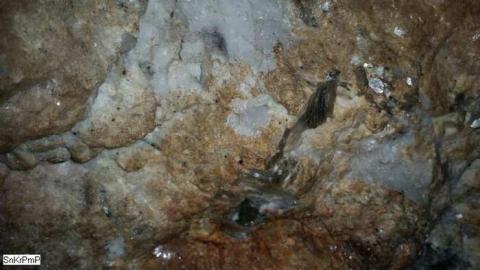 08/20/2014 - Clyde-Forks-Mine15.jpg