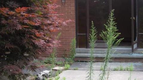 Snively Expropriated - IMG_8484.jpg